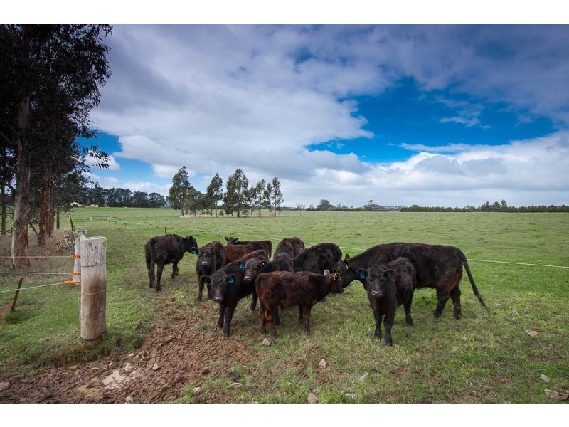 680 Chanters Lane,, Tylden VIC 3444