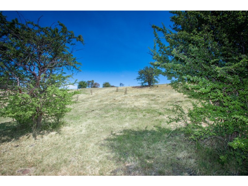 Lot 2/32 Williams Lane, Riddells Creek VIC 3431