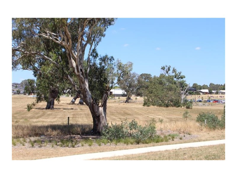 13 Salerno Crescent, Doreen VIC 3754