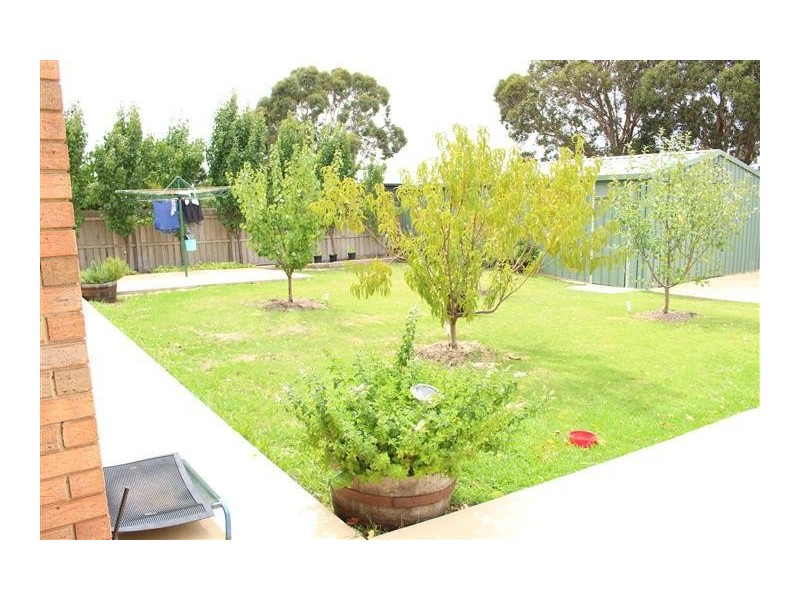 13 Candlebark Court, Riddells Creek VIC 3431