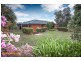 157 Reservoir Road, Sunbury VIC 3429