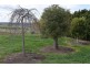 80 Lancefield Road, Sunbury VIC 3429