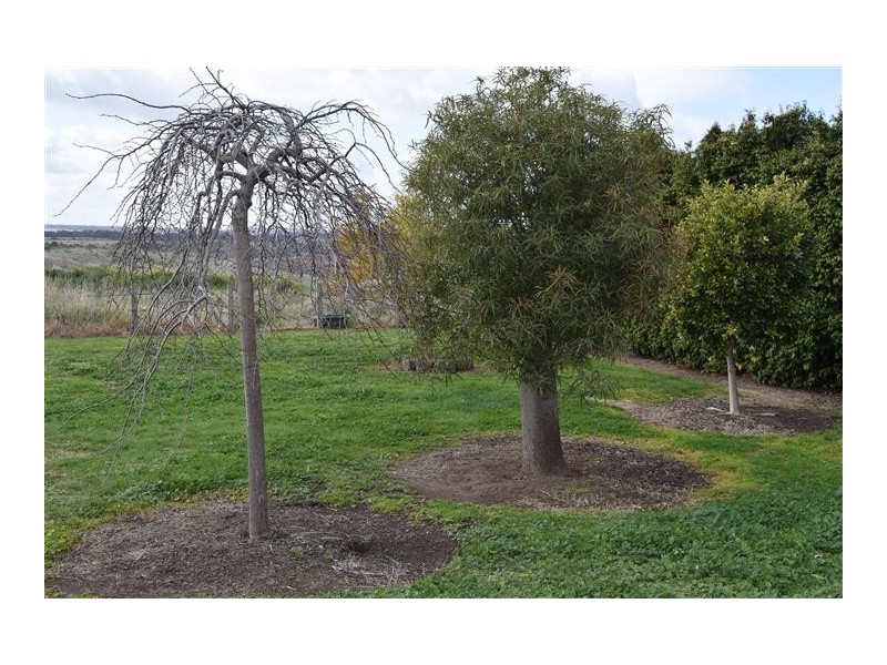 80 Lancefield Road, Sunbury VIC 3429