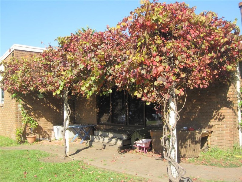 2 LAUREL COURT, Sunbury VIC 3429