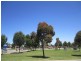 12 BETULA TERRACE, Sunbury VIC 3429