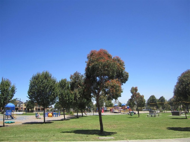 12 BETULA TERRACE, Sunbury VIC 3429