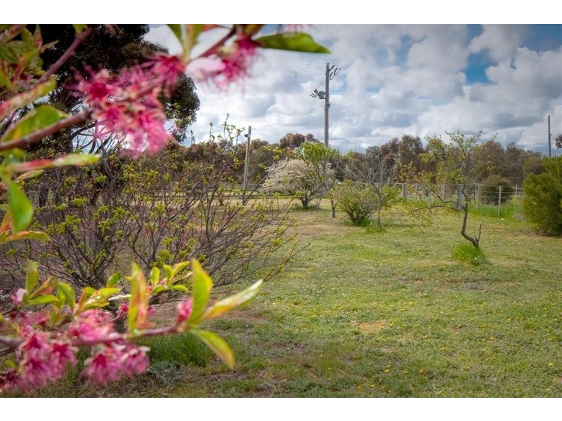 10 Buckley Road, Diggers Rest VIC 3427