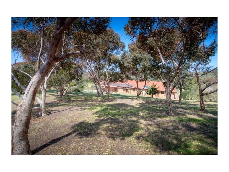 60 Albert Road, Sunbury VIC 3429