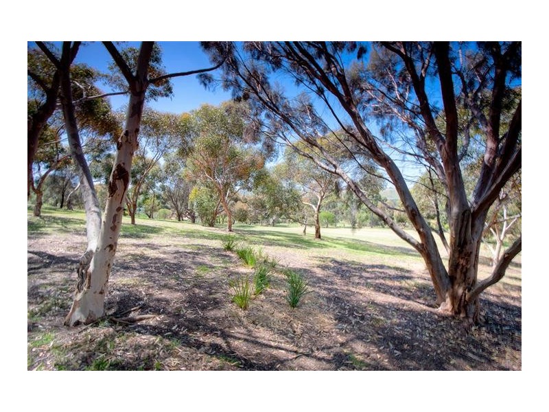 60 Albert Road, Sunbury VIC 3429