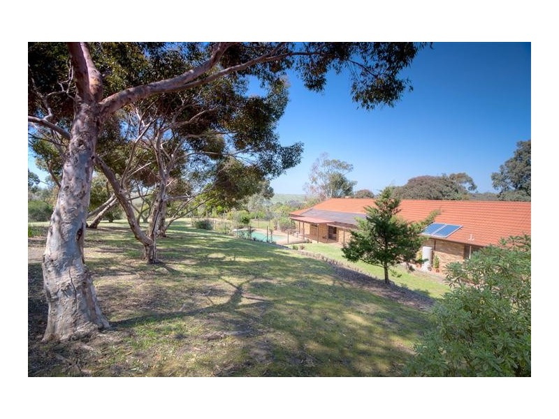 60 Albert Road, Sunbury VIC 3429