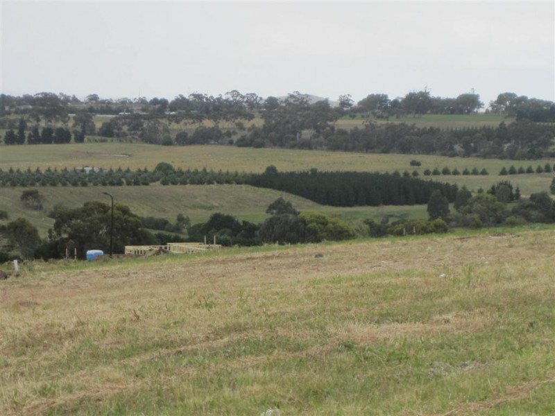 162 Belleview Drive, Sunbury VIC 3429