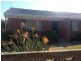 59 MCKELL AVENUE, Sunbury VIC 3429