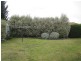 63 COLLINS STREET, Sunbury VIC 3429