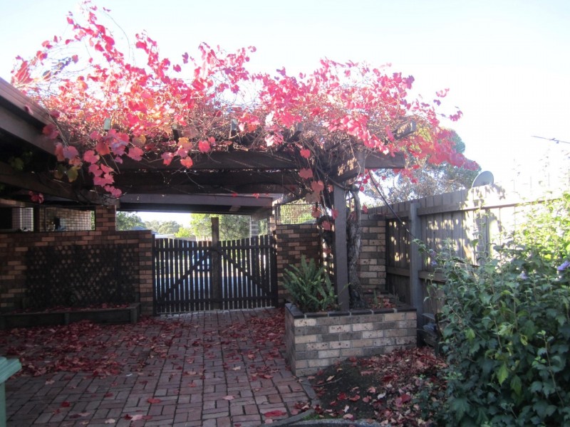 41 Heysen Drive, Sunbury VIC 3429