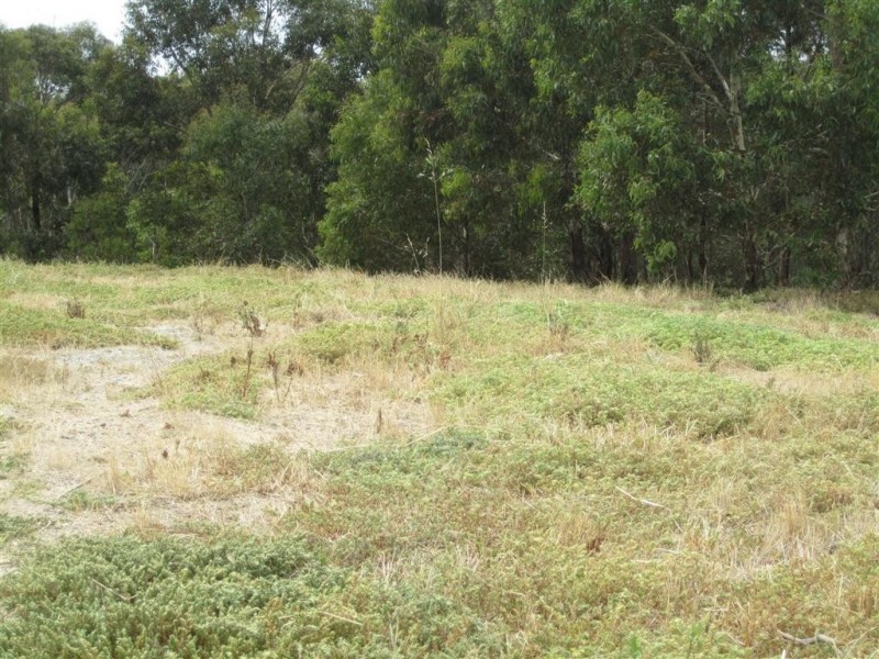 71 Yellow Gum Boulevard, Sunbury VIC 3429