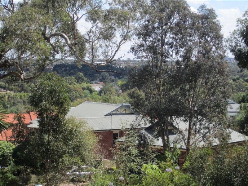 71 Yellow Gum Boulevard, Sunbury VIC 3429