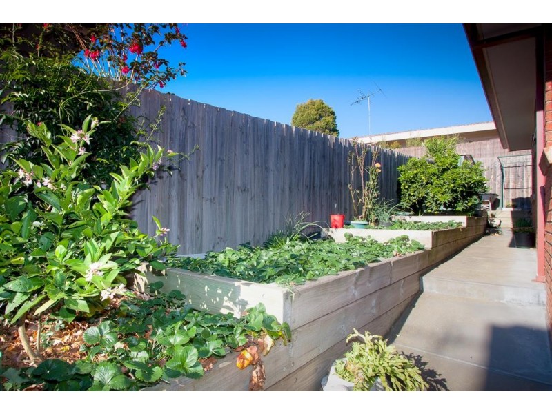 31 Vaughan Street, Sunbury VIC 3429