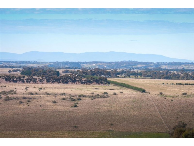 55 Williams Rise, Sunbury VIC 3429