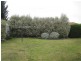 63 COLLINS STREET, Sunbury VIC 3429