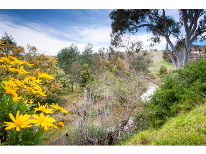 31 Powlett Street, Sunbury VIC 3429