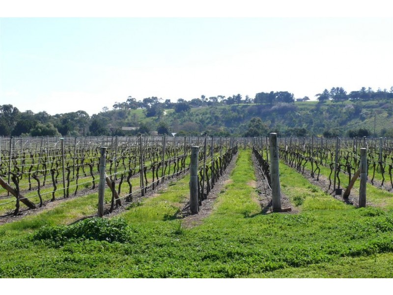 45 Jackson Street, Sunbury VIC 3429