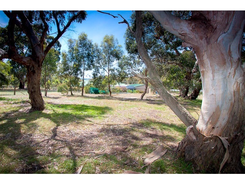 50 Sambell Road, Sunbury VIC 3429