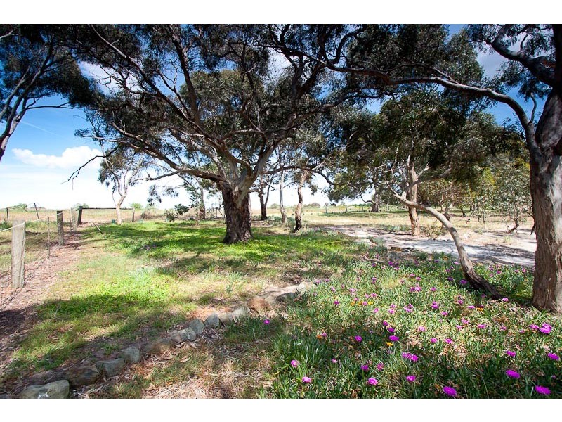 50 Sambell Road, Sunbury VIC 3429