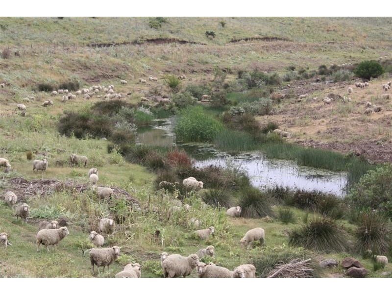 210 Palmer Road, Sunbury VIC 3429