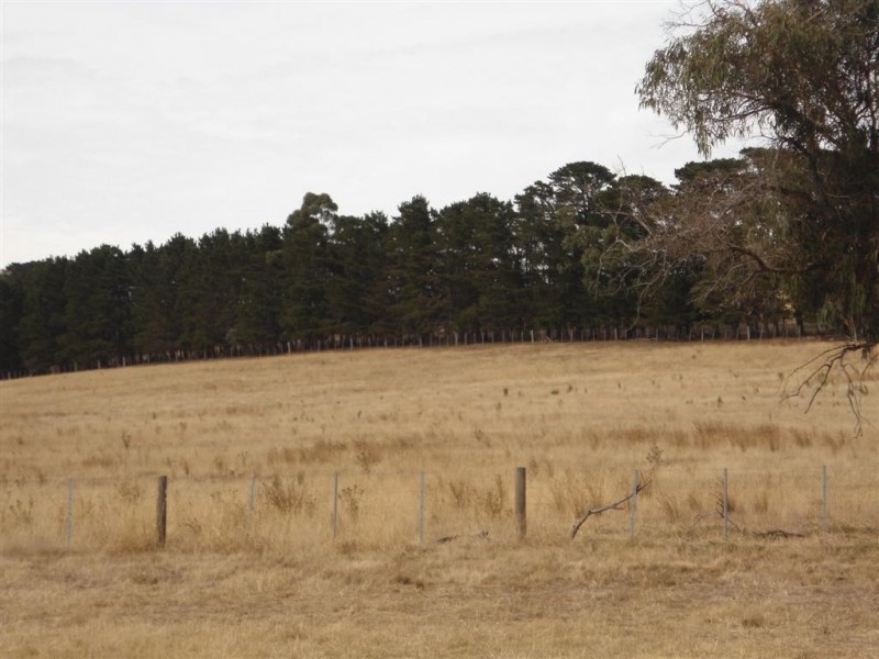 11-15 Napier Street, Sunbury VIC 3429