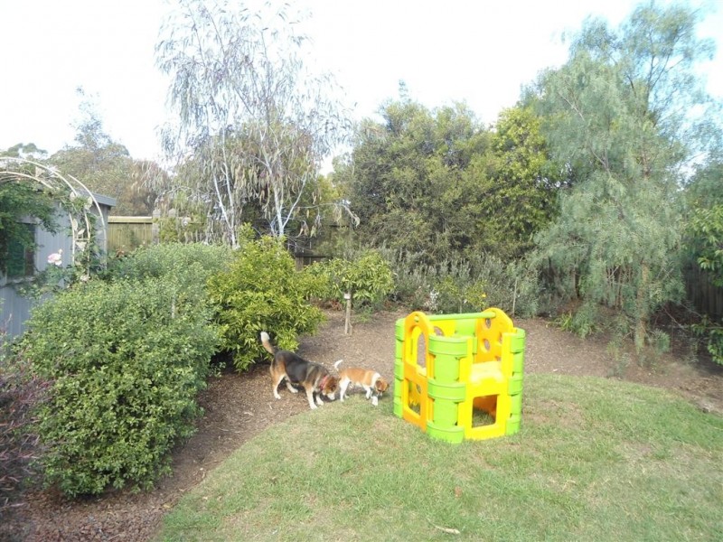 13 ACHERON COURT, Sunbury VIC 3429