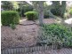11 LANDSBOROUGH DRIVE, Sunbury VIC 3429