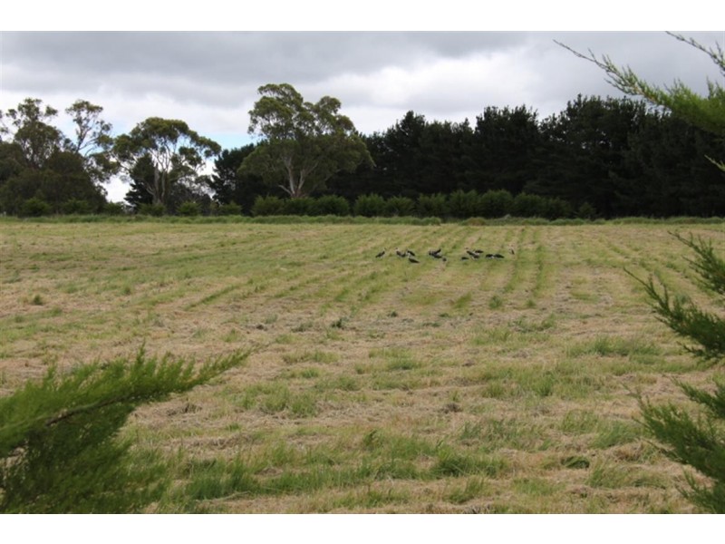 60 Tarrawarra Lane, Romsey VIC 3434