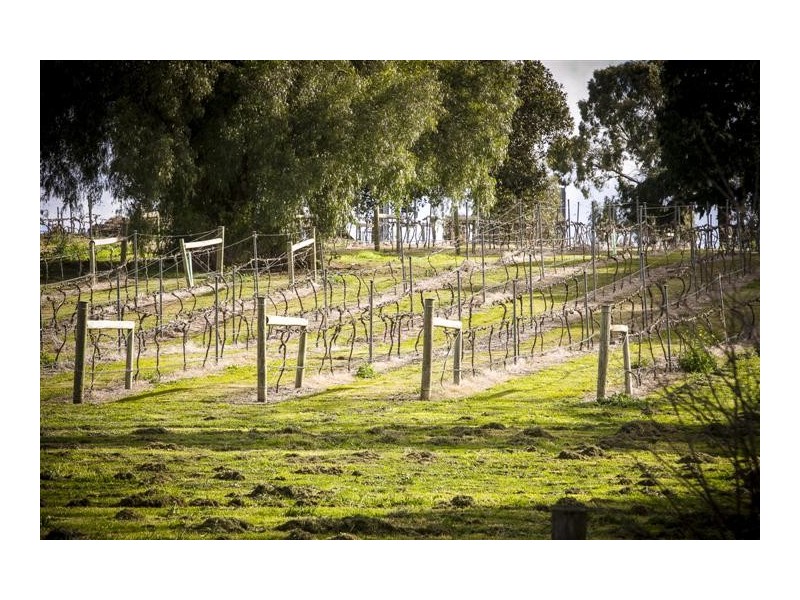 39-43 Cornish Street, Sunbury VIC 3429