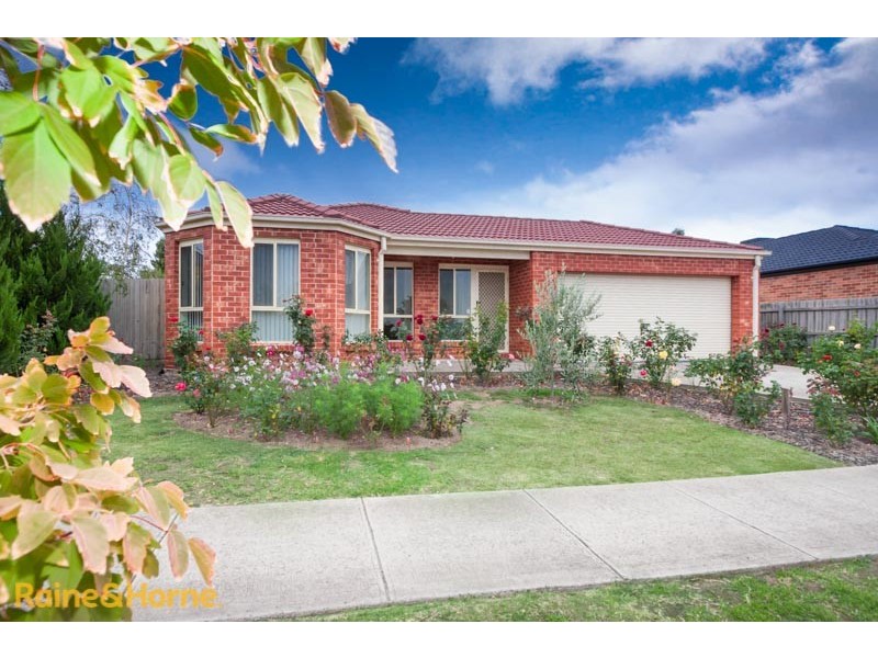 29 Burge Drive, Sunbury VIC 3429