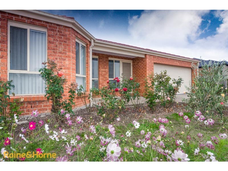 29 Burge Drive, Sunbury VIC 3429