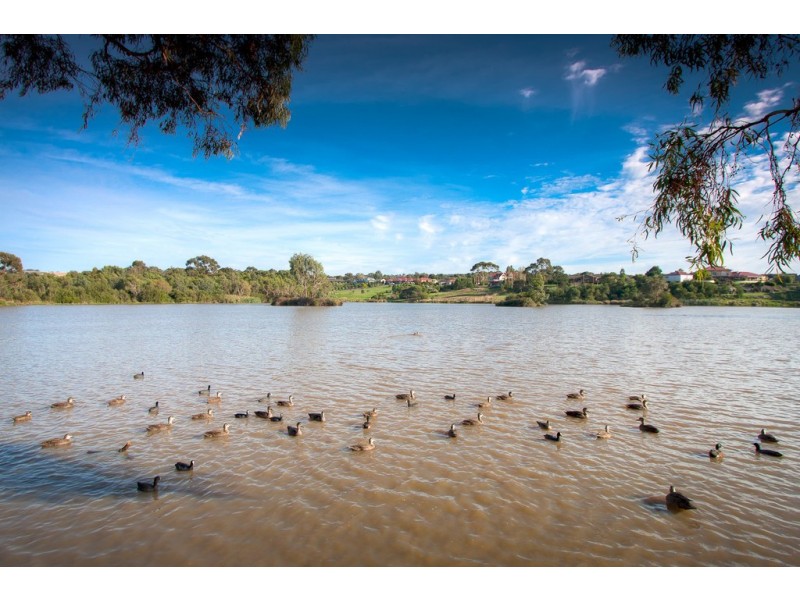 36 De Lisle Avenue, Sunbury VIC 3429