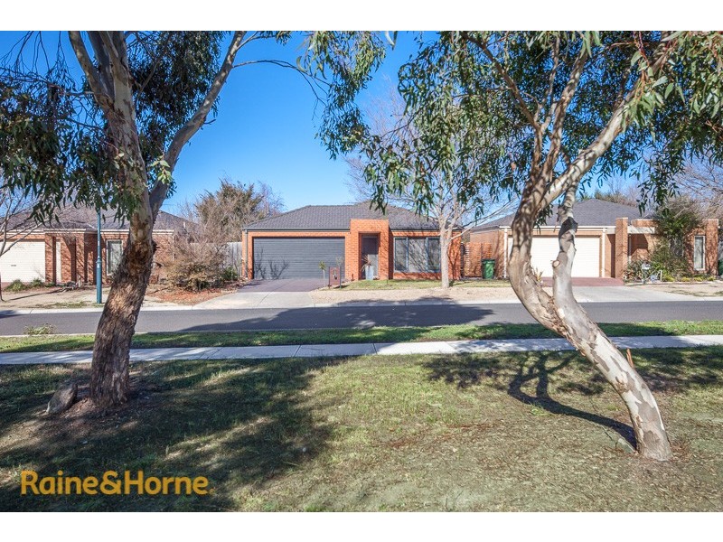 17 Reiffel Avenue, Sunbury VIC 3429