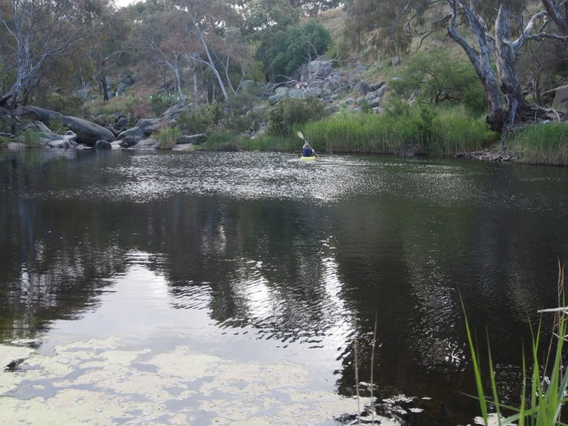 105 Loemans Road, Bulla VIC 3428