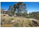 105 Loemans Road, Bulla VIC 3428