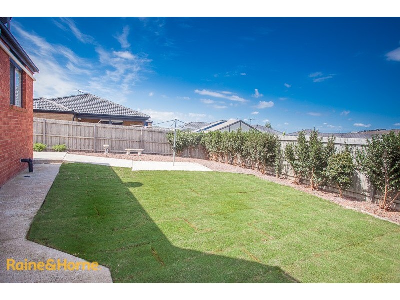 52 Burge Drive, Sunbury VIC 3429