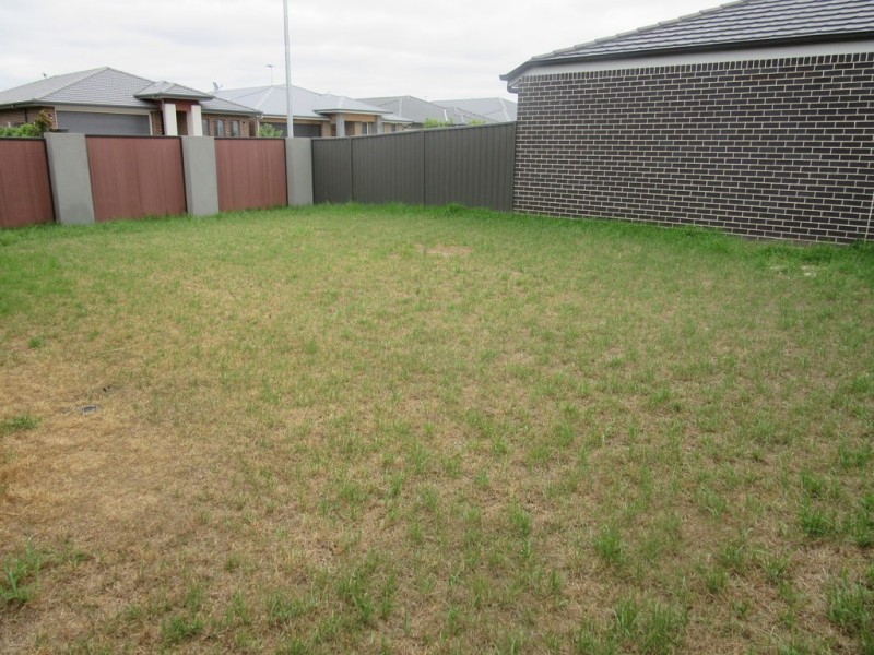 81 Jamboree Avenue, Denham Court NSW 2565