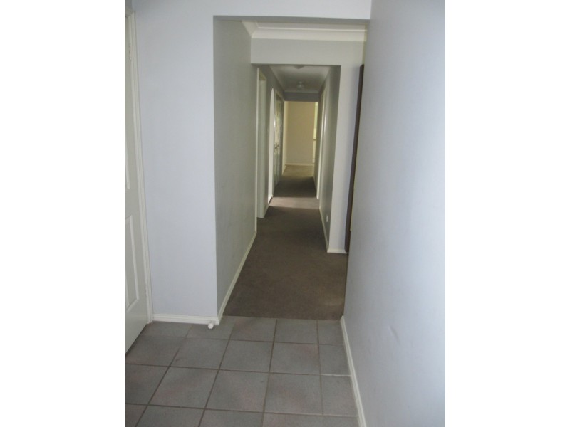 Wattle Grove NSW 2173