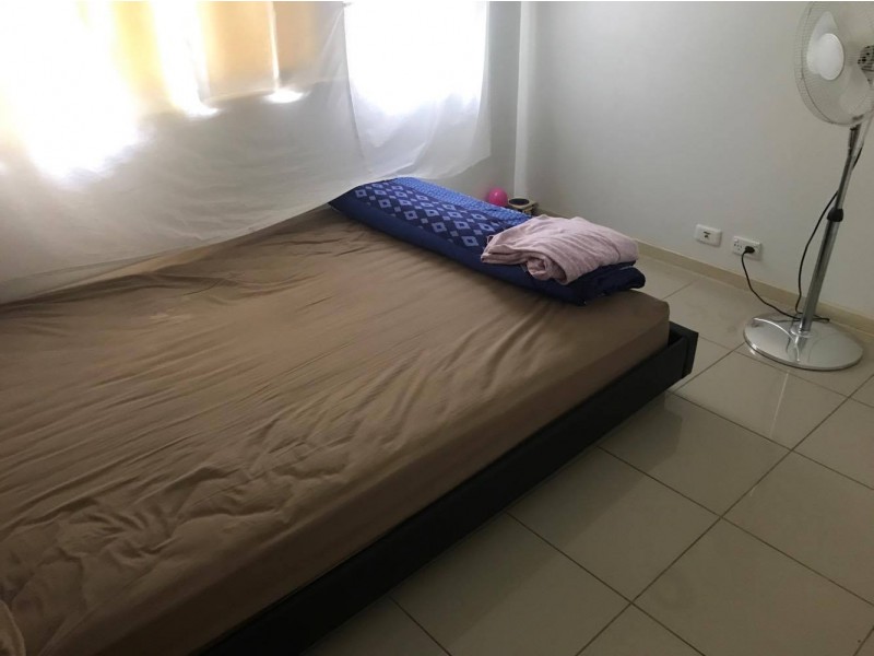 Hinchinbrook NSW 2168