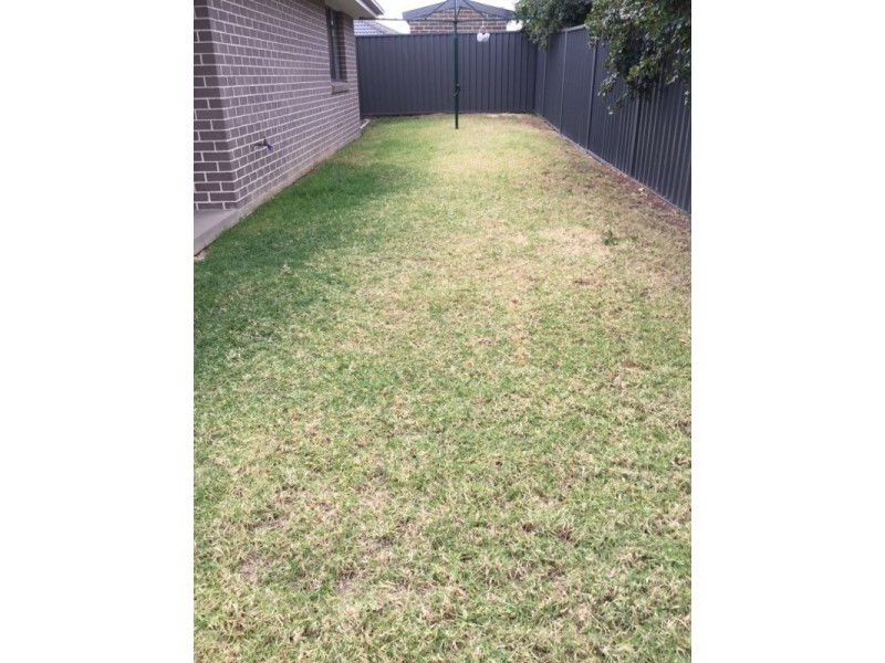 41 Mckenzie Boulevard, Gregory Hills NSW 2557