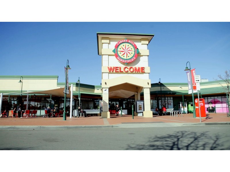 5 Landholder Drive, Carnes Hill NSW 2171