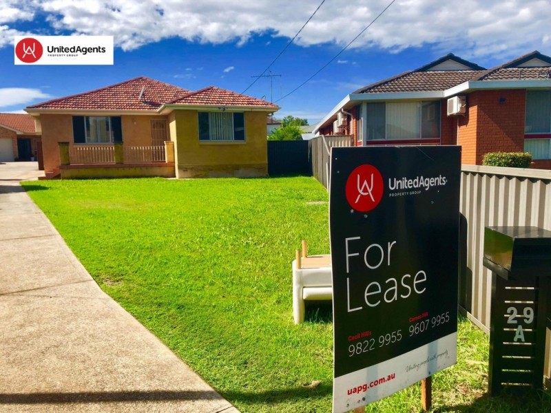 29a Malcolm Avenue, Mount Pritchard NSW 2170