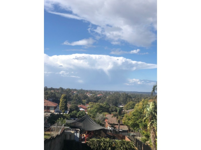 116 Hemphill Avenue, Mount Pritchard NSW 2170