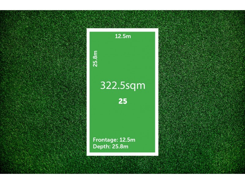 25 Scythe Avenue, Austral NSW 2179