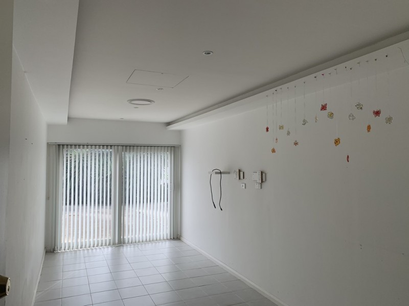 2 Tyringham Close, Hoxton Park NSW 2171