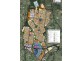 55 Sixteenth Avenue, Austral NSW 2179